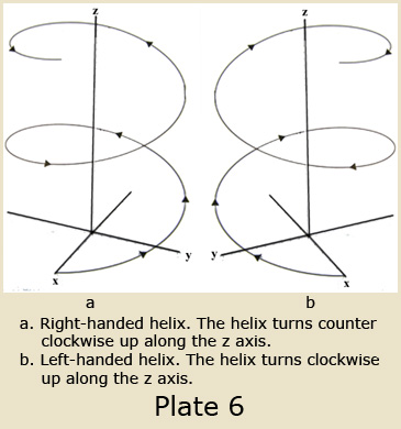 Plate 6