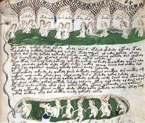 Figure 9 - Folio 84r