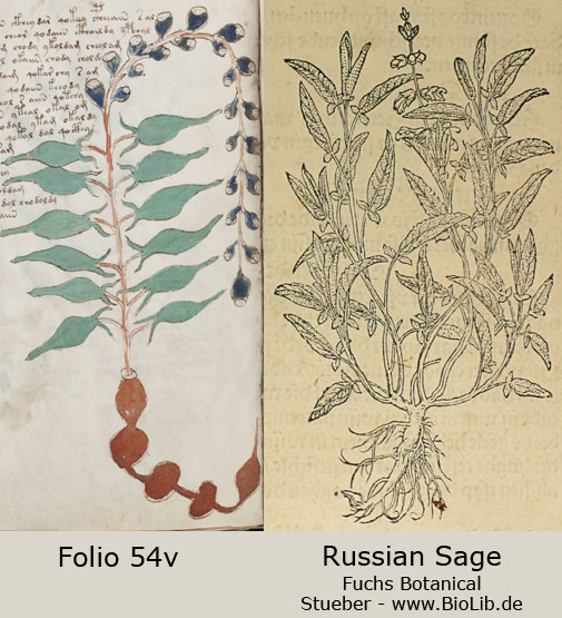 folio 54v