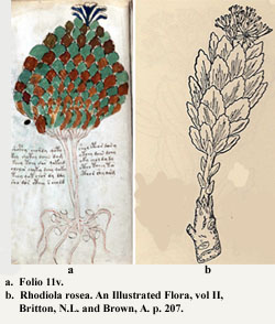 Figure 95