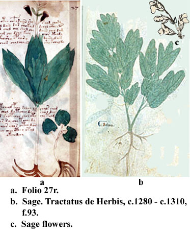 folio 27r