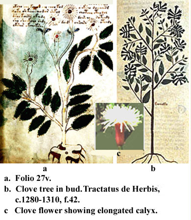 folio 27v