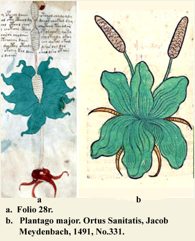 folio 28r