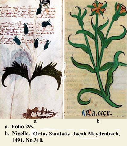 folio 29v