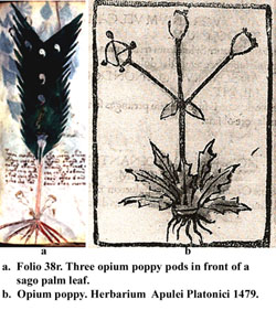 Figure 58