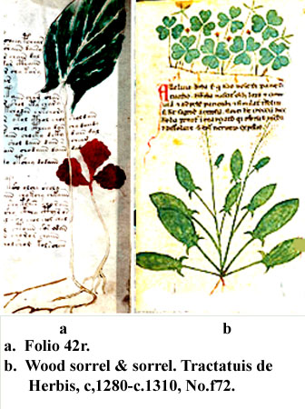 folio 42r