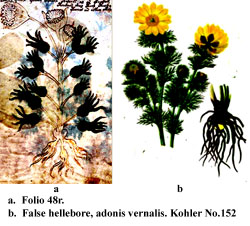 Figure 116