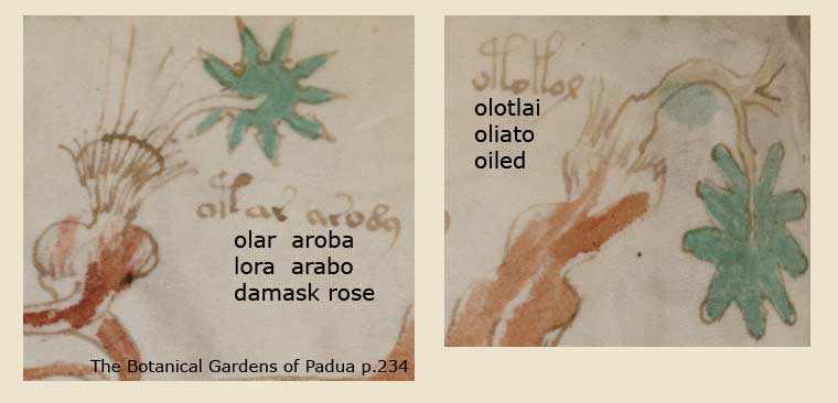 Folio 7
