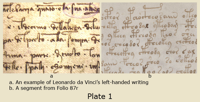 Leonardo da vinci biography essay